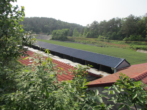 生态养殖猪栏基地